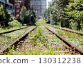 Grassy train tracks 130312238