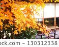 Leaves that turned yellow 130312338
