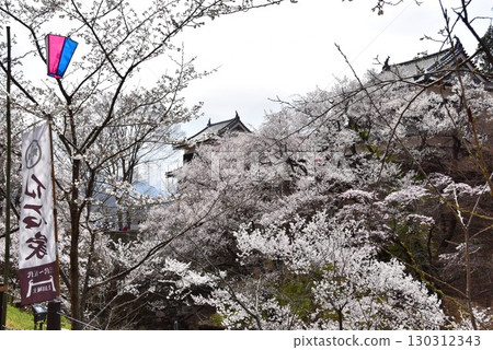 長野縣上田市上田城跡公園的櫻花盛開、瞭望塔和護城河 130312343