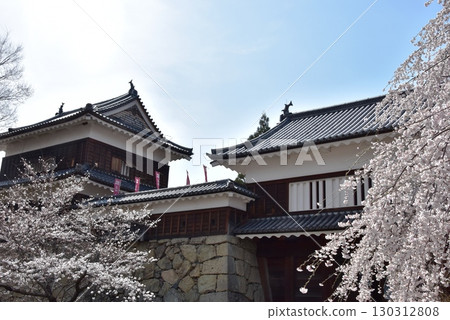 長野縣上田市:上田城跡公園的南塔、東門塔門、櫻花盛開 長野縣上田市:上田城跡公園的南塔、東門塔門、櫻花盛開 130312808