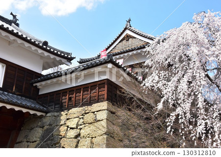 Ueda City, Nagano Prefecture: North Tower, East Gate Tower Gate, and cherry blossoms in full bloom at Ueda Castle Ruins Park 130312810