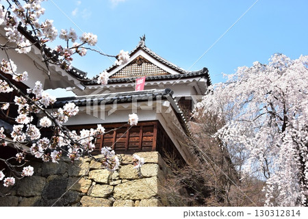 長野縣上田市：上田城跡公園的北塔、東門塔門、櫻花盛開 130312814