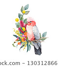 Galah bird with floral decor hand drawn watercolor vintage style illustration. Australian endemic parrot wildlife bird with Australia wildflowers native flora decoration on white background 130312866