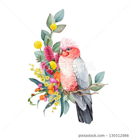 Galah bird with floral decor hand drawn watercolor vintage style illustration. Australian endemic parrot wildlife bird with Australia wildflowers native flora decoration on white background 130312866