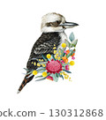 Kookaburra with floral decor hand drawn watercolor vintage style illustration. Australian endemic laughing kookaburra wildlife bird with Australia wildflowers native flora decor on white background 130312868
