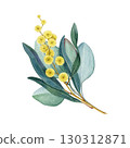 Australia native flowers elegant floral decor on white background. Vintage style watercolor illustration. Australian flora decoration design element from golden wattle, gum tree leaves 130312871