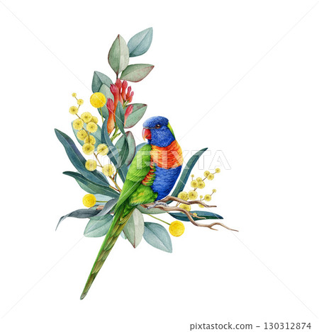 Rainbow lorikeet with floral decor hand drawn watercolor vintage style illustration. Australian endemic parrot wildlife bird with Australia wildflowers native flora decoration on white background 130312874
