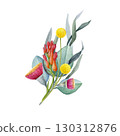 Australia native flowers elegant floral decor on white background. Vintage style watercolor illustration. Australian flora decoration design element with golden wattle, gum tree leaves and flowers 130312876