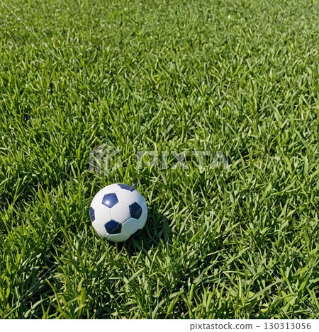 Football in the square 130313056