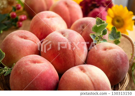 Kawanakajima White Peach (1) 130313150