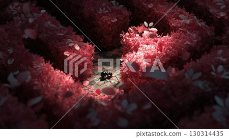 從一隻穿越花迷宮的小螞蟻的視角看世界 130314435