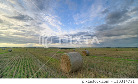 A vast and beautiful agricultural landscape featuring hay bales during the dusky evening hours A vast and beautiful agricultural landscape featuring hay bales during the dusky evening hours 130314751