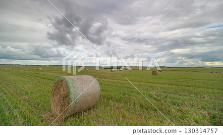 Beautiful Rolls of Hay Spread Across a Serene Landscape Under a Moody Cloudy Sky 130314757