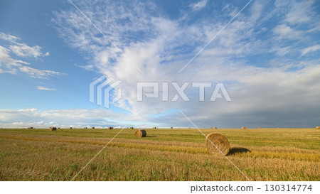 A Beautiful Open Field Spreading Across the Ground Under a Bright Blue Sky with Clouds 130314774