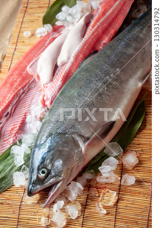 Autumn Salmon (1) Autumn Salmon (1) 130314792
