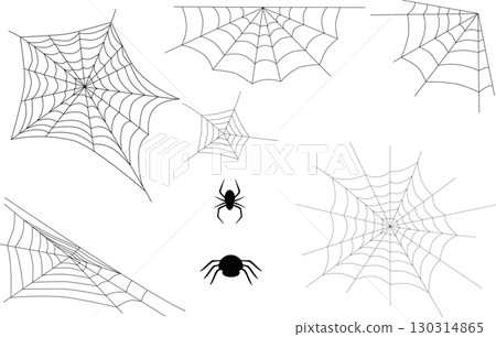 spider, cobweb, vector 130314865