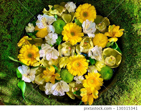 February's flower water fountain (gerbera, cymbidium, alstroemeria, ping pong mum) at Sugao Shrine in Okazaki, Aichi Prefecture 130315341