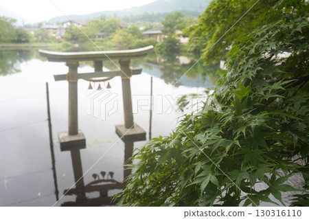 Oita Prefecture, Yufuin, Lake Kinrin, Torii gate reflected on the water 130316110