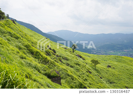 Oita Prefecture, Yufuin, Mount Yufu, Yamanami Highway 130316487