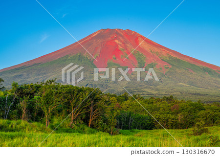 Red Fuji as seen from the Kita Fuji Training Area 130316670
