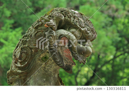 長野縣安曇野市有江山神社的小犬 長野縣安曇野市有江山神社的小犬 130316811