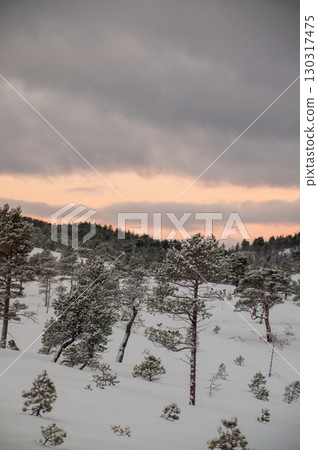 Arctic Norway in Winter 130317475