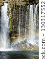 Shiraito Falls with a rainbow 130317552
