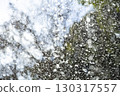 The waterfall seen from behind 130317557