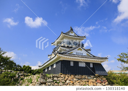 Hamamatsu Castle Park and Japanese Garden Hamamatsu Castle Park and Japanese Garden 130318140