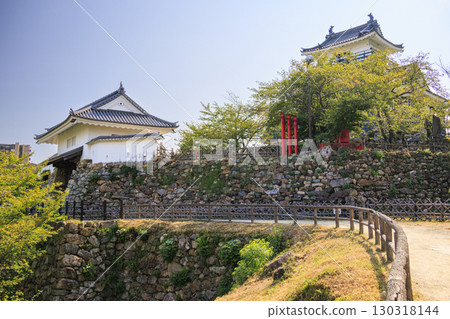 濱松城公園與日本庭園 130318144