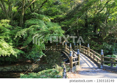 濱松城公園與日本庭園 130318149