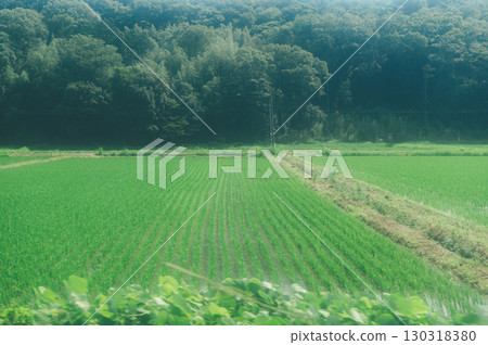 Film-style street photography 130318380