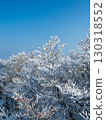 Trees covered in frost and snow flowers in full bloom 130318552