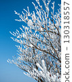 The frost-covered trees of Mt. Gozaisho shine against the blue sky 130318557