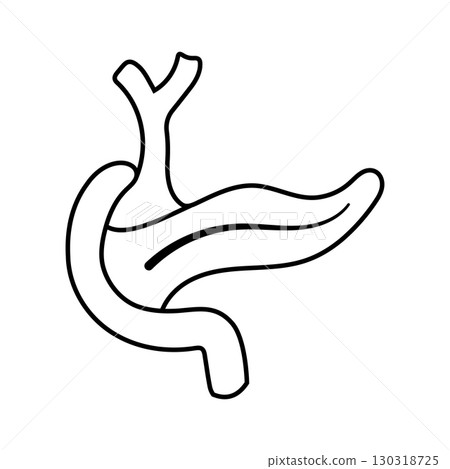 Human pancreas anatomy diagram digestive system medical education Human pancreas anatomy diagram digestive system medical education 130318725
