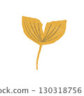 Illustration of ginkgo 130318756