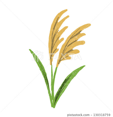 Susuki插圖 Susuki插圖 130318759