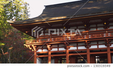 美麗的高野山（秋葉、自然、和歌山） 130319349