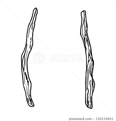 Wooden branch. Botanical vector illustration. Simple black graphic hand drawn in doodle style. Outline drawing for packaging design of rustic or botanical projects, seasonal holidays. Thanksgiving. 130319401