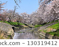 Spring cherry blossoms at Takada Senbonzakura (Yamatotakada City, Nara Prefecture) 130319412