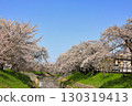 Spring cherry blossoms at Takada Senbonzakura (Yamatotakada City, Nara Prefecture) 130319413