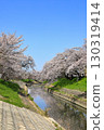Spring cherry blossoms at Takada Senbonzakura (Yamatotakada City, Nara Prefecture) 130319414