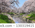 Spring cherry blossoms at Takada Senbonzakura (Yamatotakada City, Nara Prefecture) 130319415