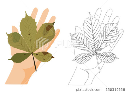 Autumn chestnut leaf lying on human palm. Vector illustration isolated on white background. 130319636