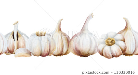 Watercolor garlic seamless border isolated on white. Whole and half bulb vegetables and cloves hand drawn horizontal banner illustration. Realistic spicy food for kitchen and culinary designs Watercolor garlic seamless border isolated on white. Whole and half bulb vegetables and cloves hand drawn horizontal banner illustration. Realistic spicy food for kitchen and culinary designs 130320016