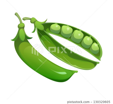 Cartoon green pea pods, isolated raw ripe vegetable. Vector one whole and one open pods with visible peas. Fresh healthy eating, gardening plants, farming produce , and vegetarian greenery food Cartoon green pea pods, isolated raw ripe vegetable. Vector one whole and one open pods with visible peas. Fresh healthy eating, gardening plants, farming produce , and vegetarian greenery food 130320605