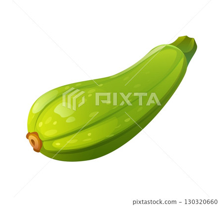 Cartoon raw ripe squash vegetable, isolated vector whole, fresh and natural marrow plant, healthy food organic ripe veggie. Eco farm production Glossy green zucchini with subtle speckles and a stem 130320660