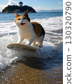 Cat staring at the sea 130320790