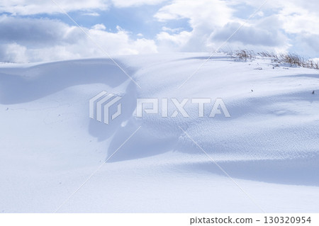 鳥取沙丘的雪景 鳥取沙丘的雪景 130320954