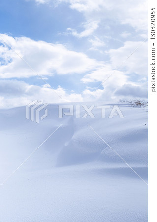 鳥取沙丘的雪景 鳥取沙丘的雪景 130320955